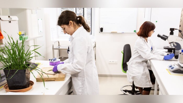 Infrastructures, recrutements, déploiement international… les projets d’Elicit Plant après une levée de fonds record