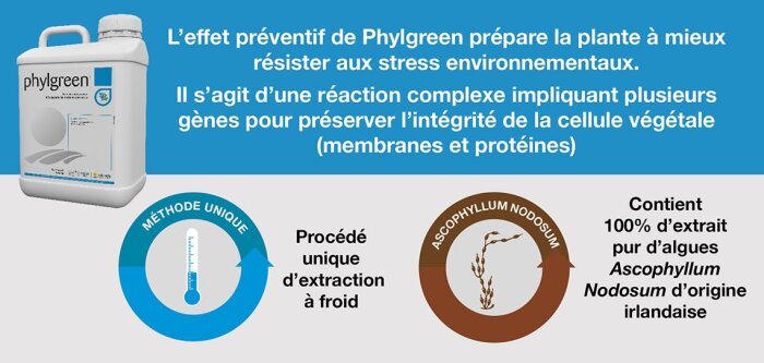 Produire des biostimulants efficaces, grâce à une extraction à froid