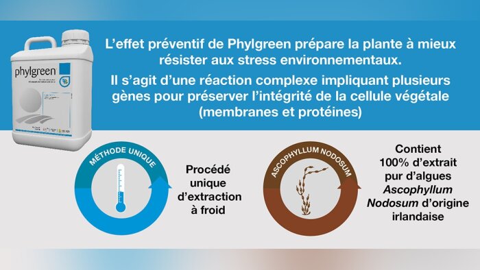 Produire des biostimulants efficaces, grâce à une extraction à froid