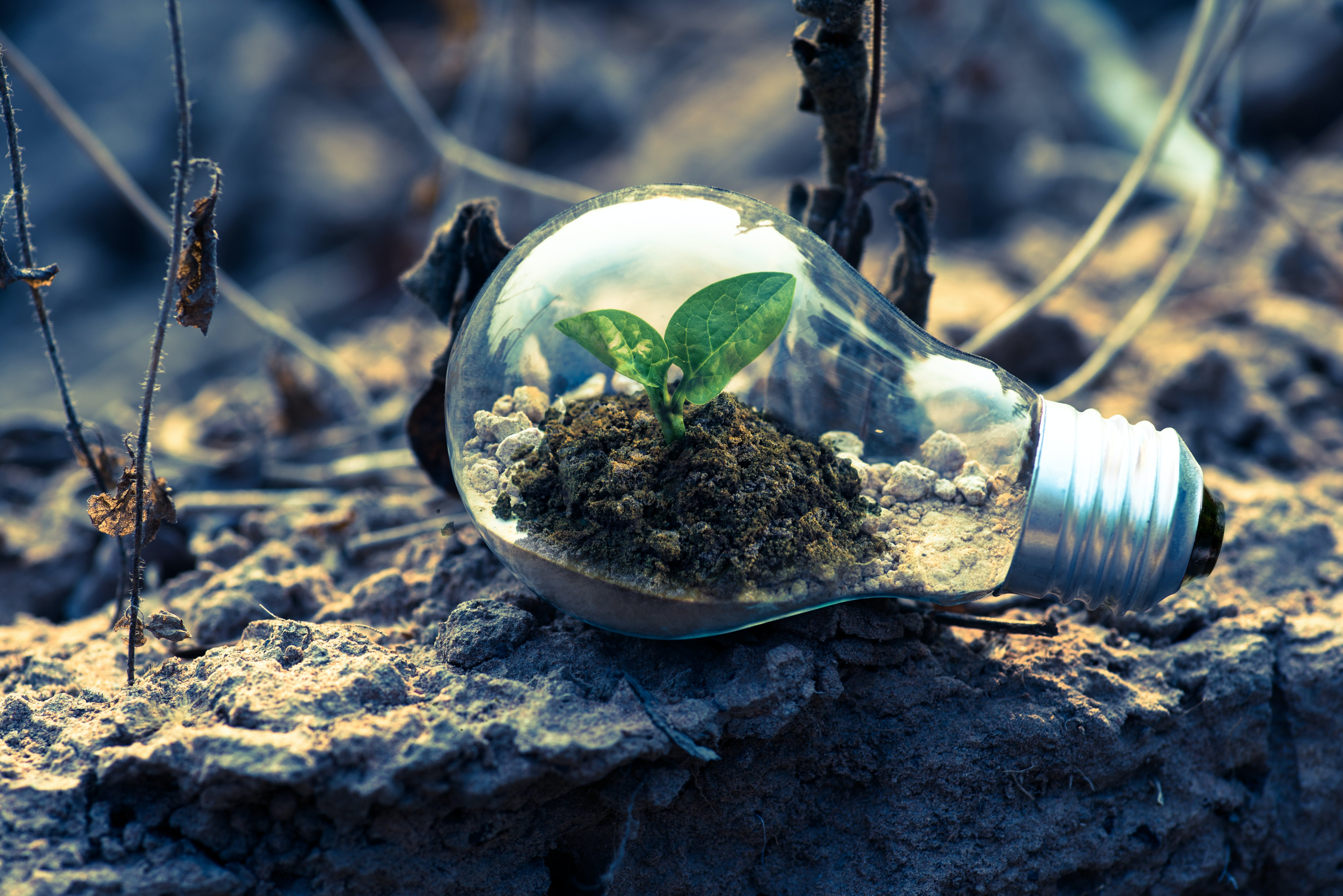 Sulitest fait partie du mouvement « Higher Education Sustainability Initiative » - © Pexels