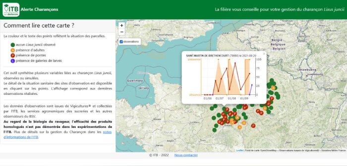 Une carte interactive pour suivre la dynamique du charançon Lixus juncii