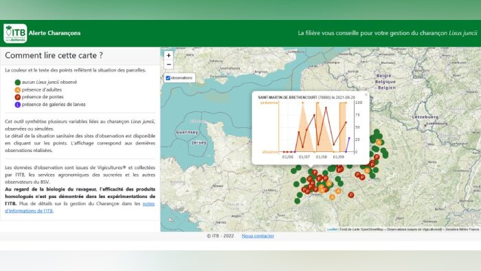 Une carte interactive pour suivre la dynamique du charançon Lixus juncii