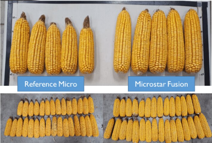 Nutrition et biostimulation, le millésime 2022 d’Agronutrition - © D.R.