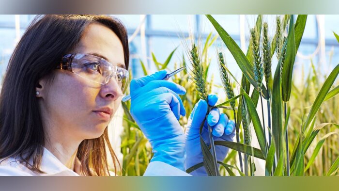 De nouvelles innovations agricoles BASF pour la sécurité alimentaire, le climat et le respect de l’environnement