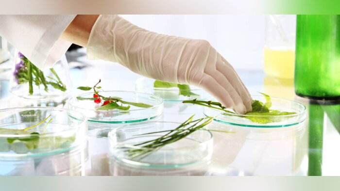 Les biosolutions : un concept, quatre familles de produits