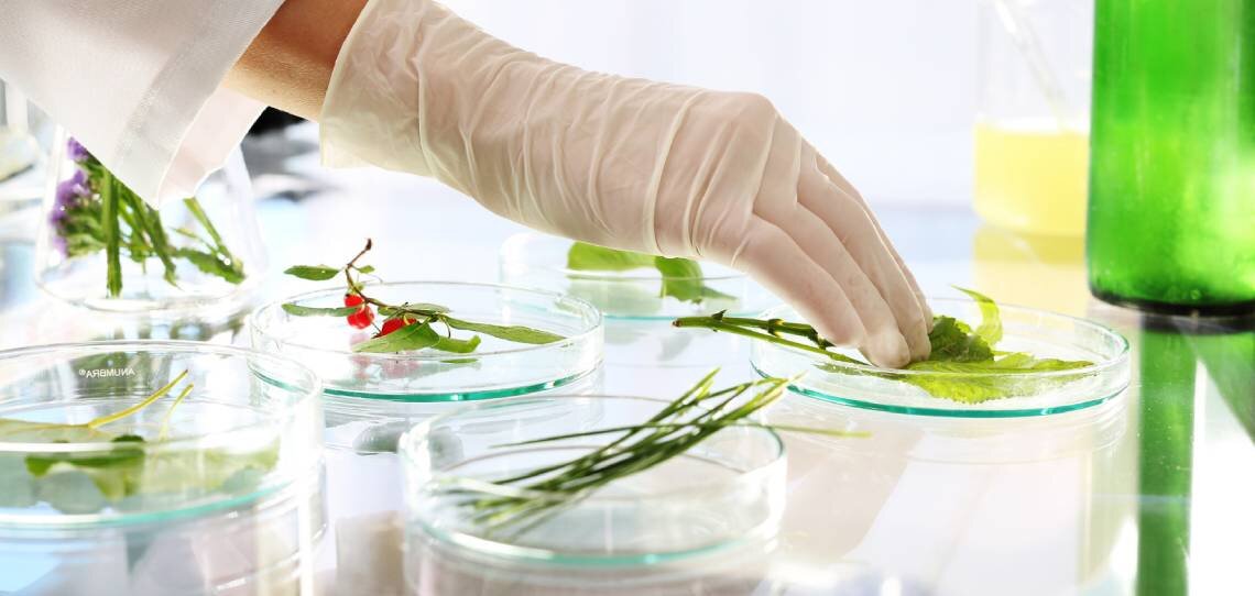 Les biosolutions : un concept, quatre familles de produits - © D.R.