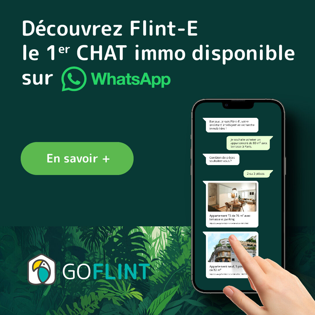 Flent-e - © GoFlint.fr