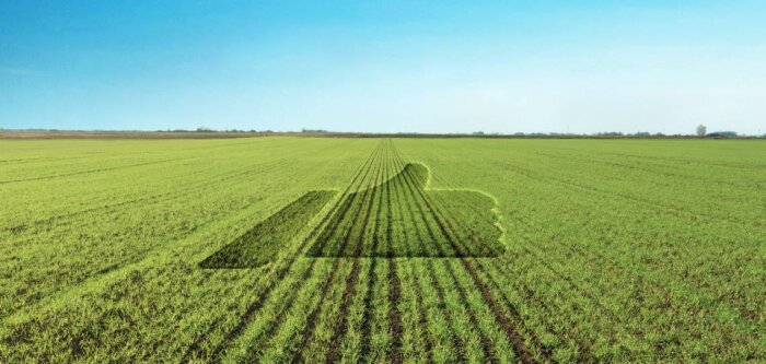 Vulpin, ray-grass…les essais confirment l’intérêt de Battle Delta Navigate
