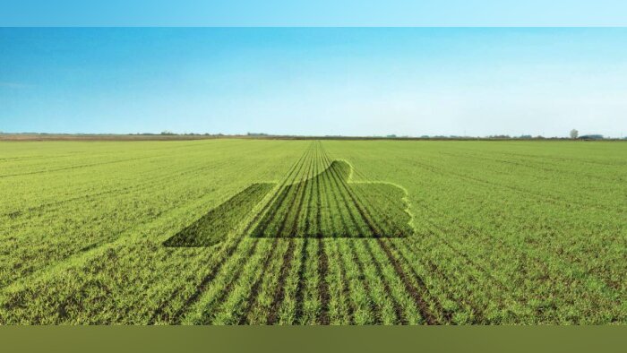 Vulpin, ray-grass…les essais confirment l’intérêt de Battle Delta Navigate