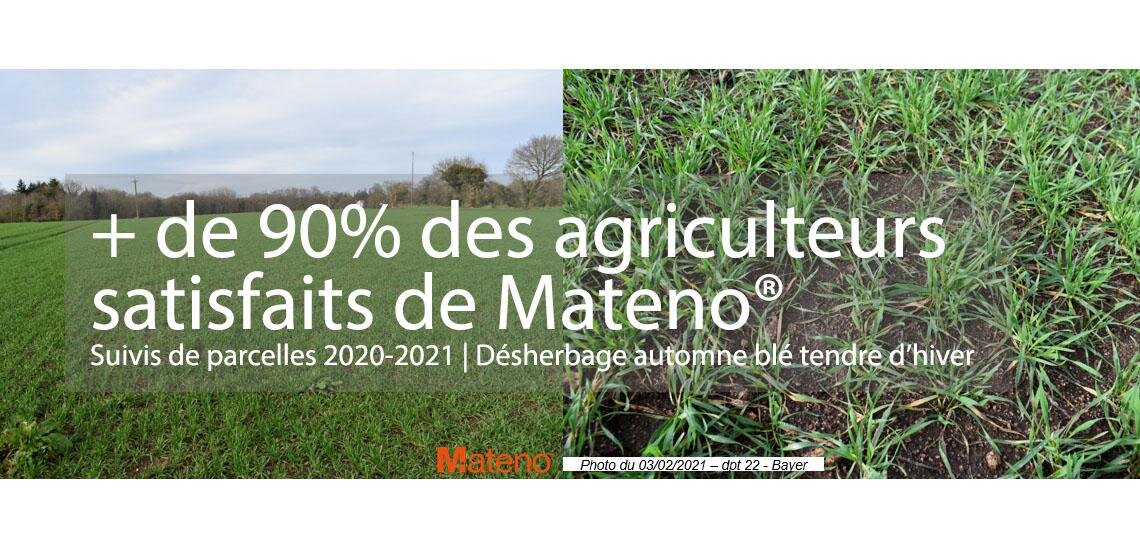 Ray grass et vulpin, quelle solution de désherbage efficace pour baisser l’IFT en blé ? - © D.R.