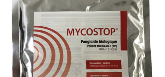 Mycostop fongicide naturel préventif d’ICL