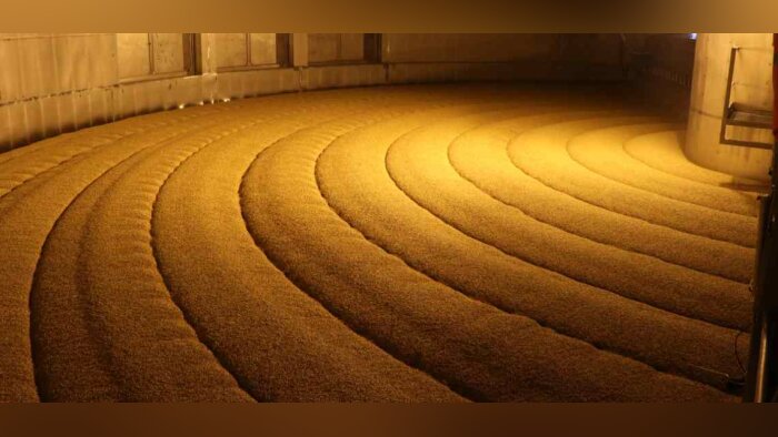 Orge de printemps STING : « You’ll walk in fields of gold ! »