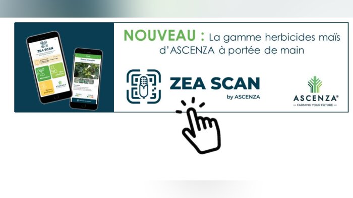 « Toute la gamme des herbicides maïs ASCENZA à portée de main »
