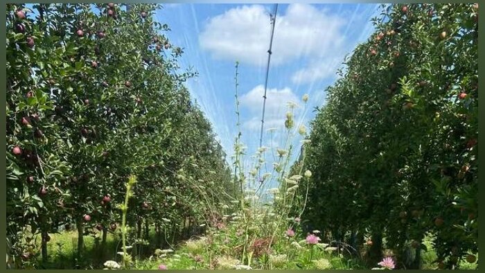Biodiversité