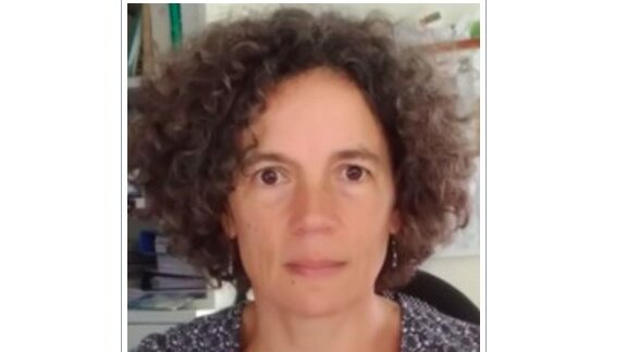 Légumineuses : « Le projet Belis vise à résoudre le frein lié à l’amélioration génétique » (Julier, Inrae)