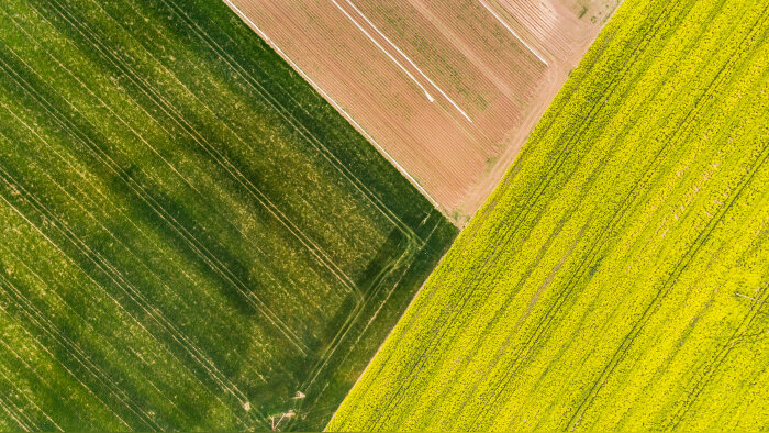 Dossier Biocontrôle 2025 : quelles seront les tendances d’ici 2030 ? - © marcin jucha - stock.adobe.com
