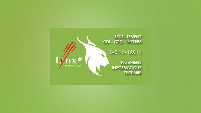 Lynx RH, le premier réseau de recrutement franchisé