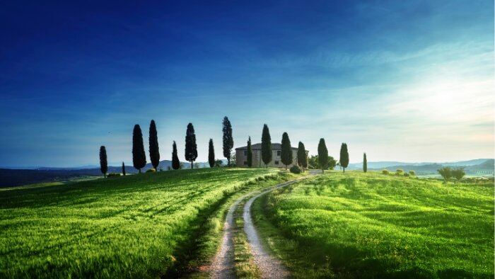 Green Acres - © D.R.