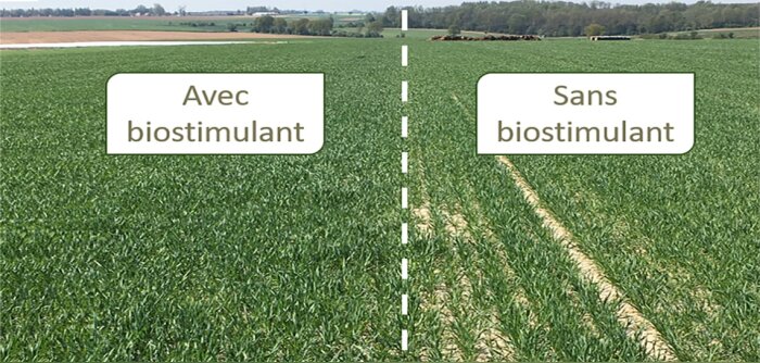 Ternoveo mise sur les biosolutions