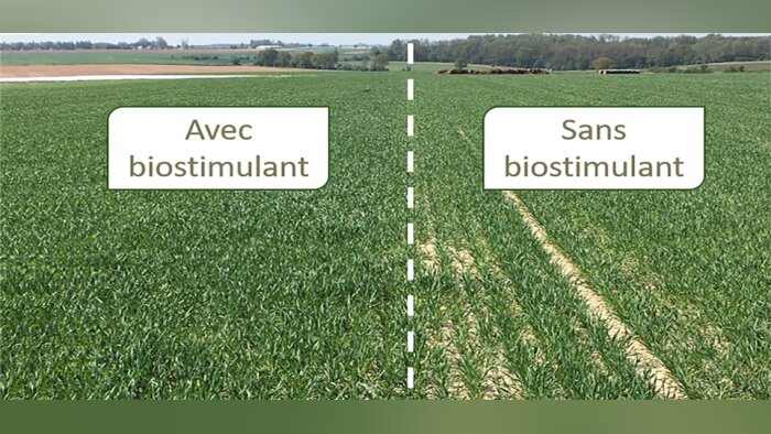 Ternoveo mise sur les biosolutions