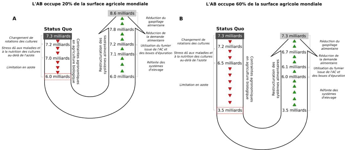 Le développement de l’agriculture biologique limité par les disponibilités en azote - © D.R.