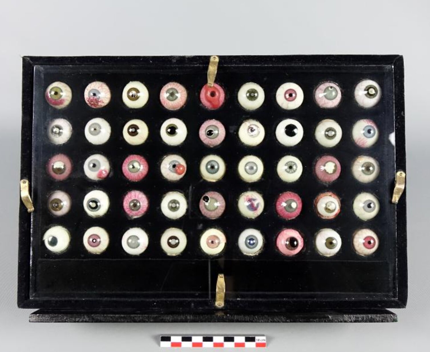 Ces 45 globes oculaires en verre représentant une variété de pathologies de l’œil sont conservés au musée Dupuytren. - © Sorbonne Université/Eloïse Quétel