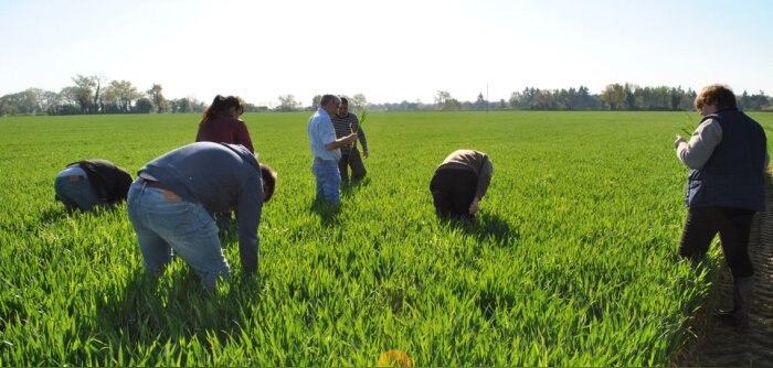 Le cadre du BSV 2.0 est publié