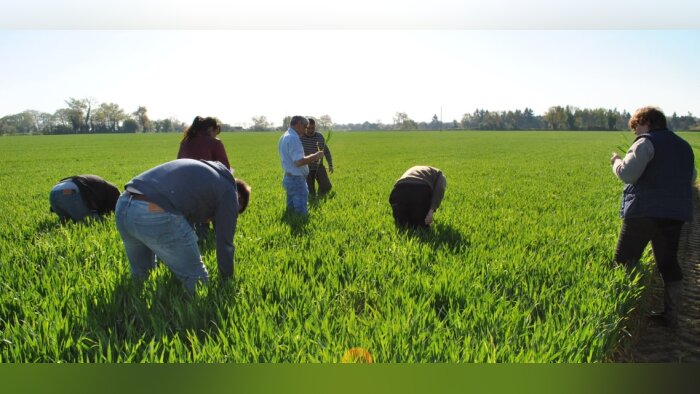 Évolution des BSV : « Nous espérons un retour avant l’été », Adeline Chastrusse, Chambre d’agriculture des Pays de la Loire