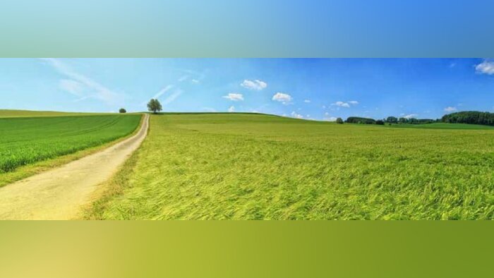 Nouveautés 2020 céréales à paille LG