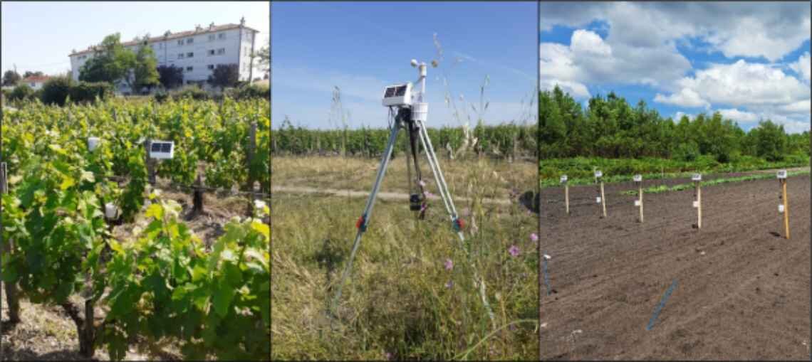 Cap 2020 lance un service pour la caractérisation des variabilités agroclimatiques - © D.R.