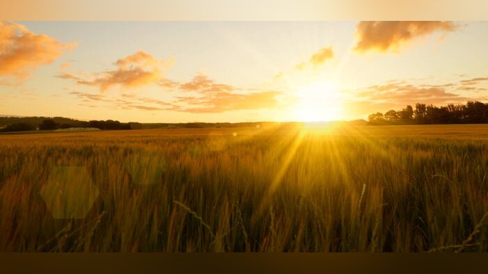 Syngenta et Valagro clarifient leur stratégie d’innovation en biosolutions