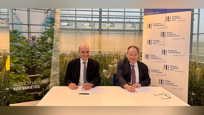 Florimond Desprez obtient un prêt de 40 M€ pour des variétés adaptées au changement climatique
