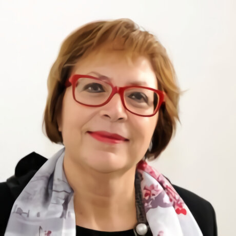 Sylvie Faucheux a piloté une cinquantaine de projets de recherche collaboratifs autour de l’éco-innovation au cours de sa carrière - © D.R.