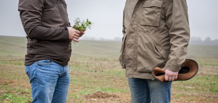 Près de la moitié des projets lauréats visent une réduction de l’utilisation des herbicides. - © D.R.