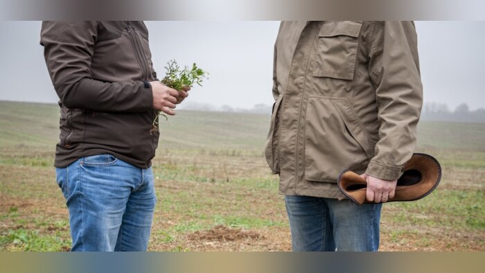 Près de la moitié des projets lauréats visent une réduction de l’utilisation des herbicides. - © D.R.