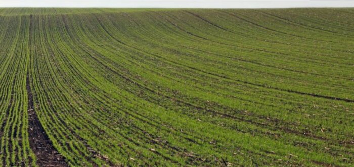 Engagés pour un désherbage durable avec le programme R-Evolution de Nufarm