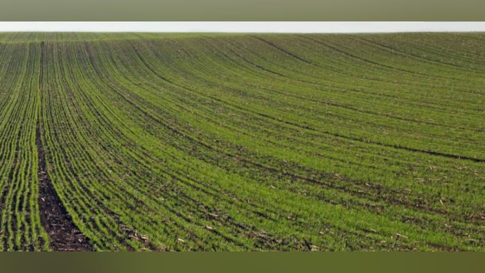Engagés pour un désherbage durable avec le programme R-Evolution de Nufarm