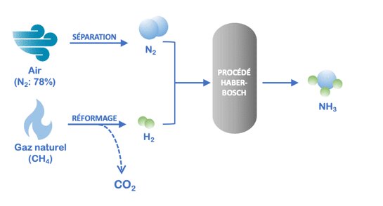 Tout savoir sur les impacts environnementaux liés à la production et à l’utilisation des engrais azotés - © D.R.