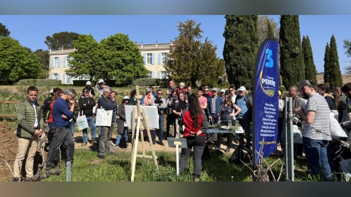 Perret rassemble les viticulteurs autour des couverts végétaux