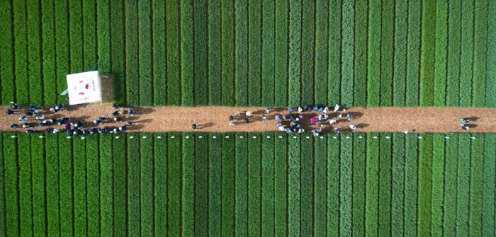 Océalia, 750 personnes à la première édition de « Sillon responsable »