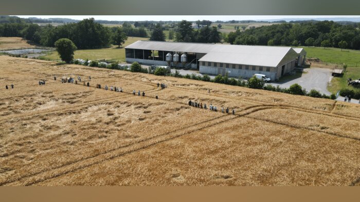 Visite d’essais d’une Ferme Practice dans le Tarn, le 30 mai 2023 (crédit BASF). - © D.R.
