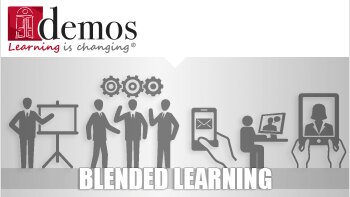 Le blended learning en 2013 : Pratiques actuelles et perspectives d’évolution - © D.R.