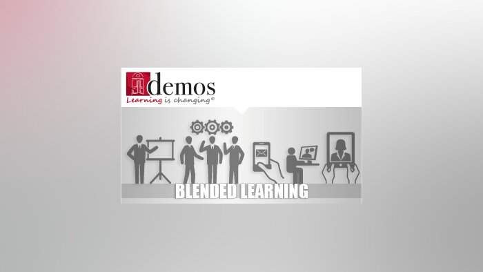 Le blended learning en 2013 : Pratiques actuelles et perspectives d’évolution