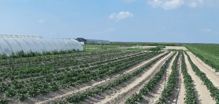 SGS, votre tiers de confiance au fil des saisons