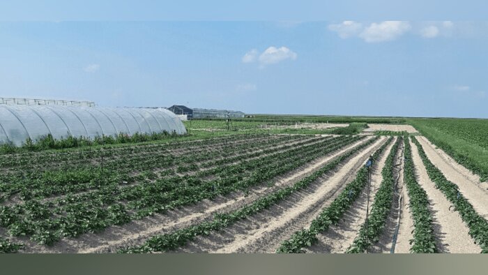 SGS, votre tiers de confiance au fil des saisons