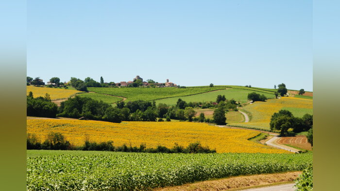 Le rapprochement entre Terres du Sud et Vivadour pourrait prendre la forme d’une fusion - © elodiehx - stock.adobe.com