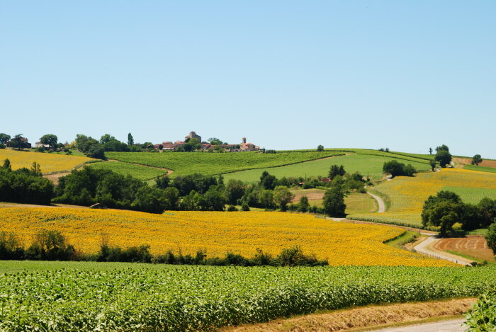 Le rapprochement entre Terres du Sud et Vivadour pourrait prendre la forme d’une fusion - © elodiehx - stock.adobe.com