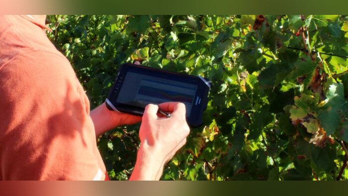 Le lien controversé entre numérique et agroécologie pointé par une étude de l’Inrae