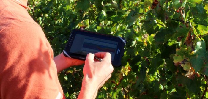 SynDev partenaire d’Inrae pour une application d’aide à la décision