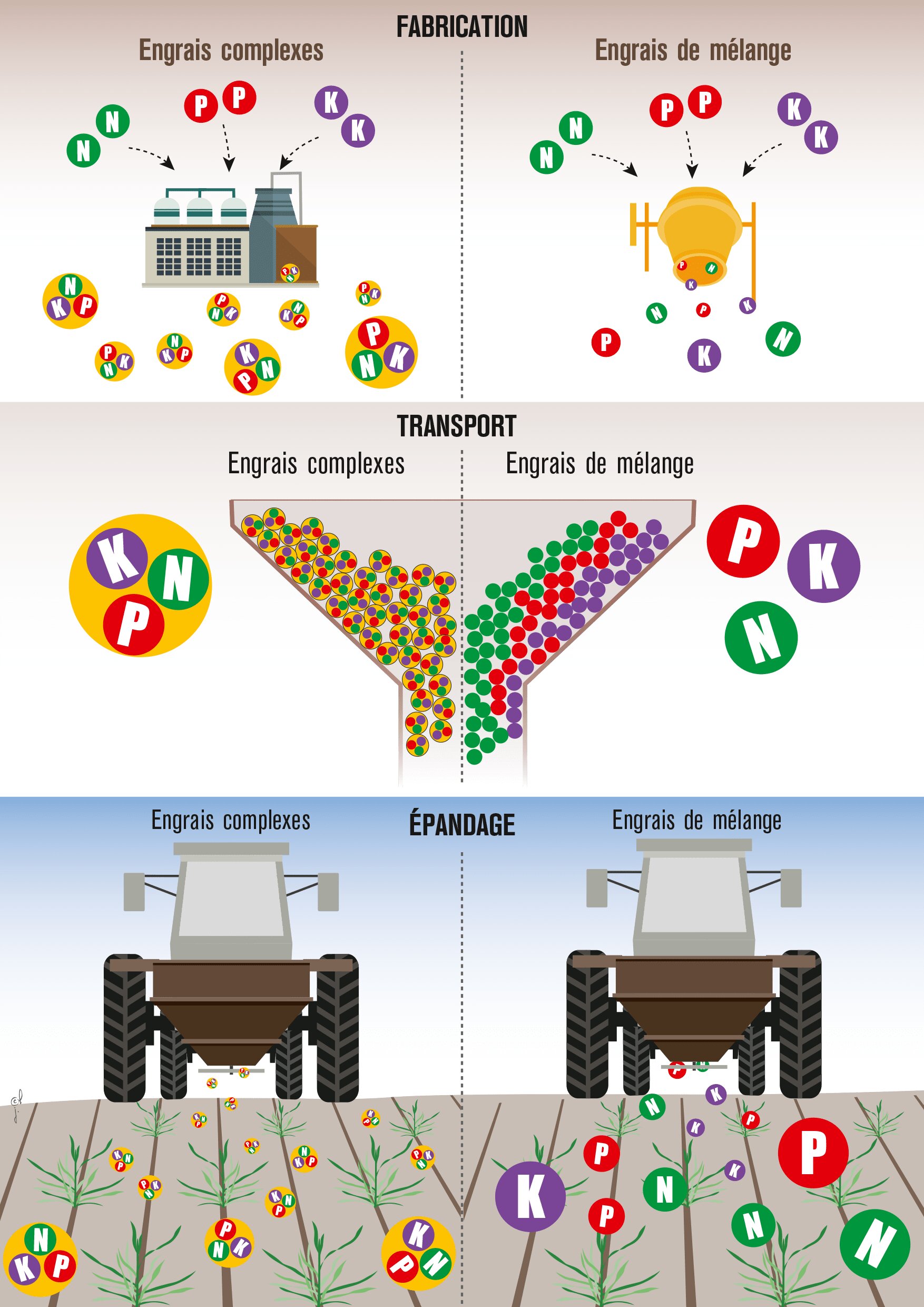 Les engrais complexes : des formulations au plus près des besoins - © D.R.